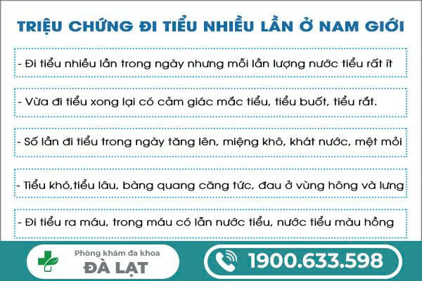 Hình ảnh minh họa